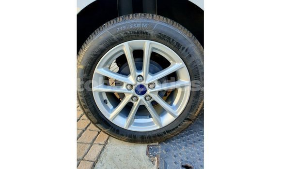 Buy Import Ford Focus White Car in Import - Dubai in Barbados Buy Import Ford Focus White Car in Import - Dubai in Barbados