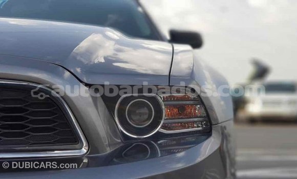 Buy Import Ford Mustang Other Car in Import - Dubai in Barbados Buy Import Ford Mustang Other Car in Import - Dubai in Barbados