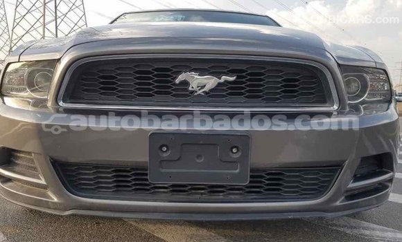 Buy Import Ford Mustang Other Car in Import - Dubai in Barbados Buy Import Ford Mustang Other Car in Import - Dubai in Barbados