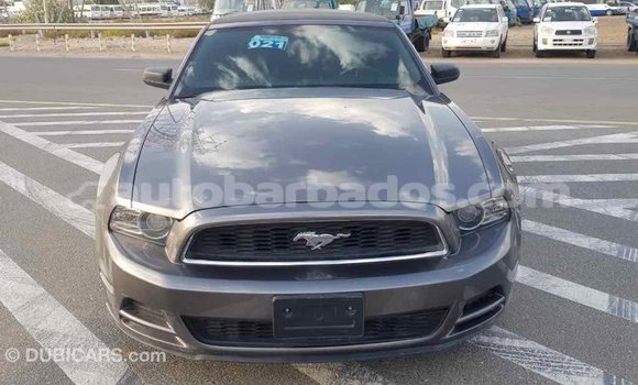 Buy Import Ford Mustang Other Car in Import - Dubai in Barbados Buy Import Ford Mustang Other Car in Import - Dubai in Barbados