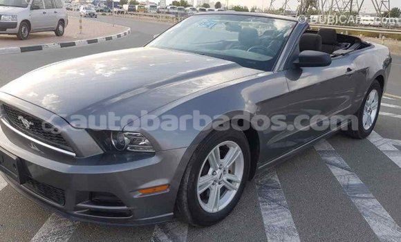 Buy Import Ford Mustang Other Car in Import - Dubai in Barbados Buy Import Ford Mustang Other Car in Import - Dubai in Barbados