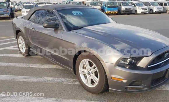 Buy Import Ford Mustang Other Car in Import - Dubai in Barbados Buy Import Ford Mustang Other Car in Import - Dubai in Barbados