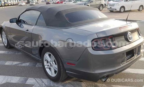 Buy Import Ford Mustang Other Car in Import - Dubai in Barbados Buy Import Ford Mustang Other Car in Import - Dubai in Barbados