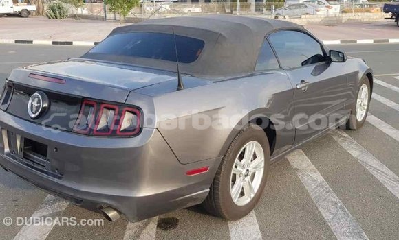 Buy Import Ford Mustang Other Car in Import - Dubai in Barbados Buy Import Ford Mustang Other Car in Import - Dubai in Barbados
