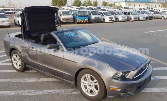 Buy Import Ford Mustang Other Car in Import - Dubai in Barbados Buy Import Ford Mustang Other Car in Import - Dubai in Barbados
