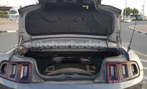Buy Import Ford Mustang Other Car in Import - Dubai in Barbados Buy Import Ford Mustang Other Car in Import - Dubai in Barbados