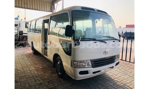 Buy Import Toyota Coaster White Car in Import - Dubai in Barbados