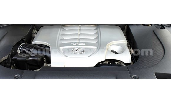 Buy Import Lexus LX White Car in Import - Dubai in Barbados Buy Import Lexus LX White Car in Import - Dubai in Barbados