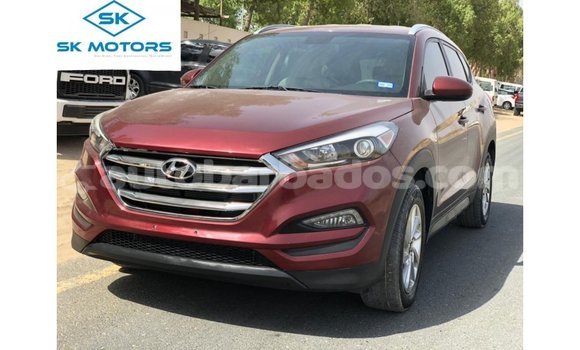 Buy Import Hyundai Tucson Red Car in Import - Dubai in Barbados