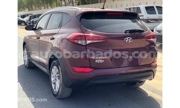 Buy Import Hyundai Tucson Red Car in Import - Dubai in Barbados Buy Import Hyundai Tucson Red Car in Import - Dubai in Barbados