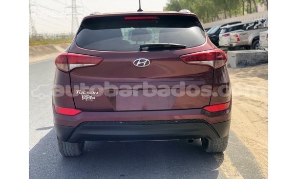 Buy Import Hyundai Tucson Red Car in Import - Dubai in Barbados Buy Import Hyundai Tucson Red Car in Import - Dubai in Barbados