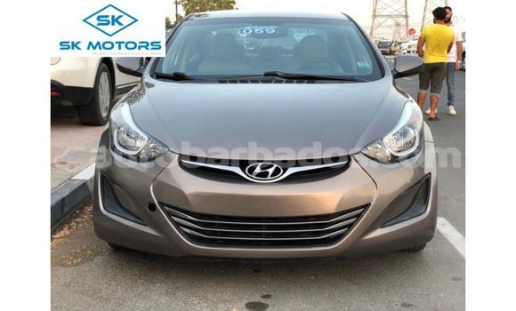 Buy Import Hyundai Elantra Brown Car in Import - Dubai in Barbados