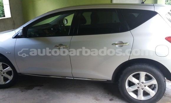 Buy Used Nissan Murano Silver Car in Bridgetown in Barbados