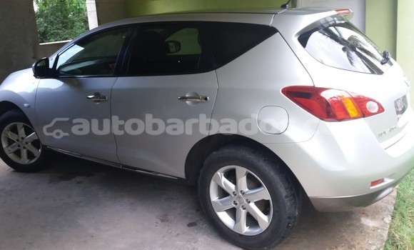 Buy Used Nissan Murano Silver Car in Bridgetown in Barbados Buy Used Nissan Murano Silver Car in Bridgetown in Barbados
