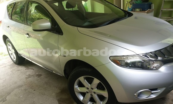 Buy Used Nissan Murano Silver Car in Bridgetown in Barbados Buy Used Nissan Murano Silver Car in Bridgetown in Barbados