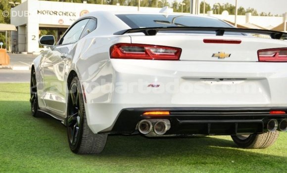 Buy Import Chevrolet Camaro White Car in Import - Dubai in Barbados Buy Import Chevrolet Camaro White Car in Import - Dubai in Barbados