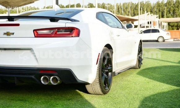 Buy Import Chevrolet Camaro White Car in Import - Dubai in Barbados Buy Import Chevrolet Camaro White Car in Import - Dubai in Barbados