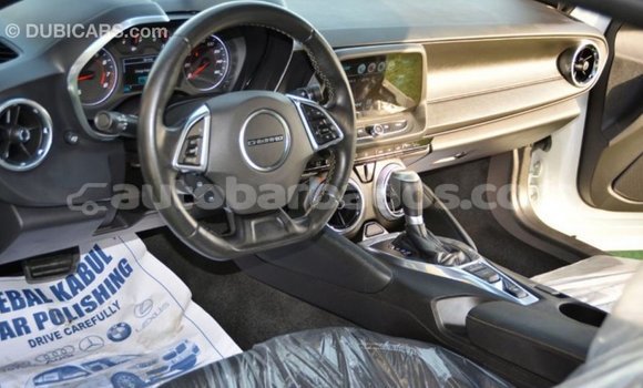 Buy Import Chevrolet Camaro White Car in Import - Dubai in Barbados Buy Import Chevrolet Camaro White Car in Import - Dubai in Barbados