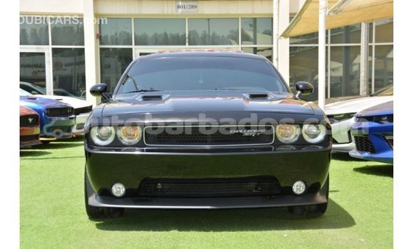 Buy Import Dodge Challenger Black Car in Import - Dubai in Barbados Buy Import Dodge Challenger Black Car in Import - Dubai in Barbados
