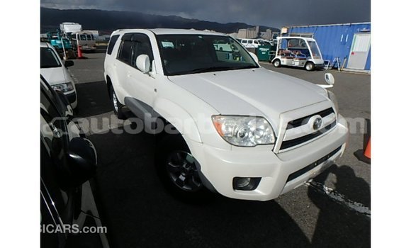 Buy Import Toyota Hilux White Car in Import - Dubai in Barbados Buy Import Toyota Hilux White Car in Import - Dubai in Barbados