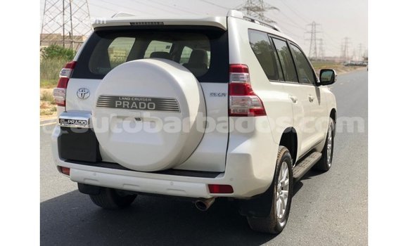 Buy Import Toyota Prado White Car in Import - Dubai in Barbados Buy Import Toyota Prado White Car in Import - Dubai in Barbados