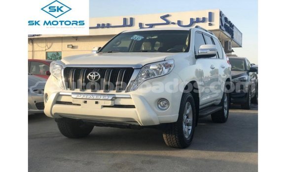 Buy Import Toyota Prado White Car in Import - Dubai in Barbados