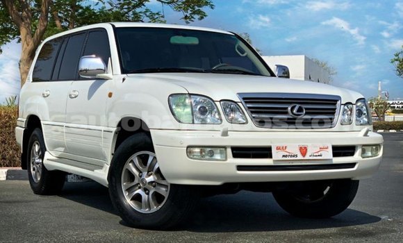 Buy Import Lexus LX White Car in Import - Dubai in Barbados