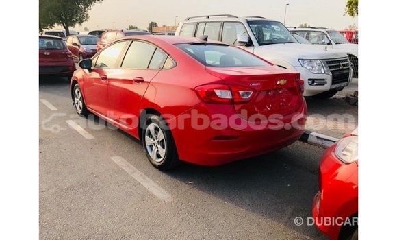 Buy Import Chevrolet Cruze Red Car in Import - Dubai in Barbados Buy Import Chevrolet Cruze Red Car in Import - Dubai in Barbados