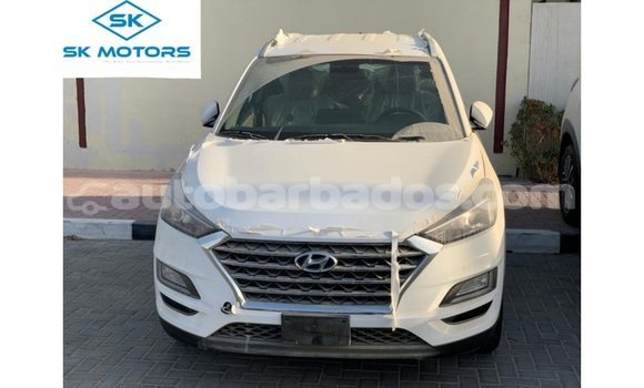 Buy Import Hyundai Tucson White Car in Import - Dubai in Barbados