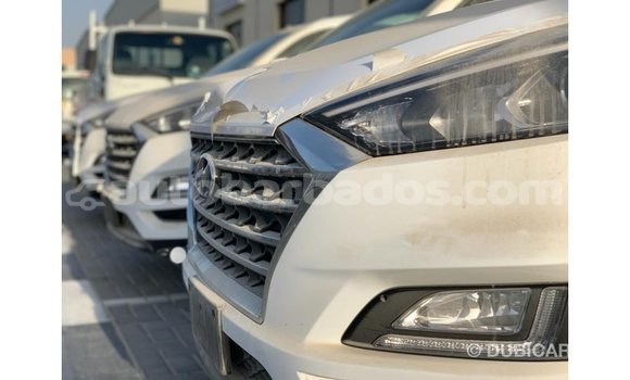 Buy Import Hyundai Tucson White Car in Import - Dubai in Barbados Buy Import Hyundai Tucson White Car in Import - Dubai in Barbados