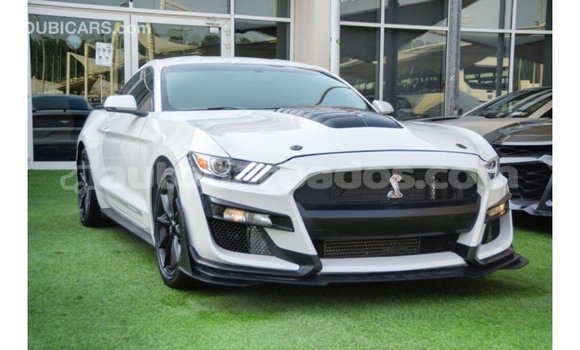 Buy Import Ford Mustang White Car in Import - Dubai in Barbados Buy Import Ford Mustang White Car in Import - Dubai in Barbados