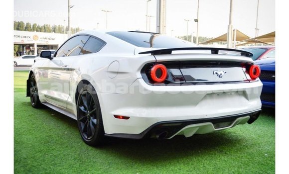 Buy Import Ford Mustang White Car in Import - Dubai in Barbados Buy Import Ford Mustang White Car in Import - Dubai in Barbados