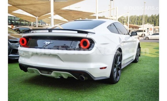 Buy Import Ford Mustang White Car in Import - Dubai in Barbados Buy Import Ford Mustang White Car in Import - Dubai in Barbados