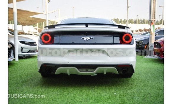 Buy Import Ford Mustang White Car in Import - Dubai in Barbados Buy Import Ford Mustang White Car in Import - Dubai in Barbados