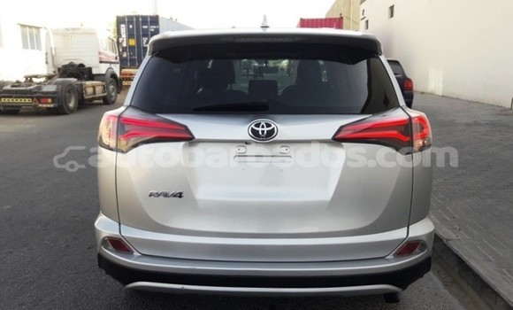 Buy Used Toyota RAV4 Beige Car in Bathsheba in Barbados Buy Used Toyota RAV4 Beige Car in Bathsheba in Barbados