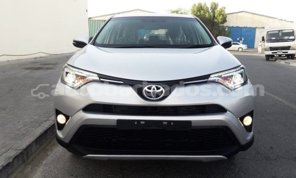 Buy Used Toyota RAV4 Beige Car in Bathsheba in Barbados Buy Used Toyota RAV4 Beige Car in Bathsheba in Barbados