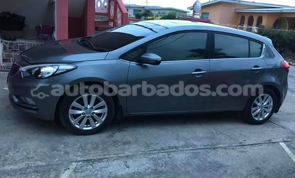 Buy Used Kia Cerato Brown Car in Bridgetown in Barbados Buy Used Kia Cerato Brown Car in Bridgetown in Barbados