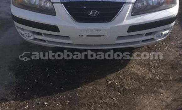 Buy Used Hyundai Elantra White Car in Bridgetown in Barbados