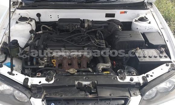 Buy Used Hyundai Elantra White Car in Bridgetown in Barbados Buy Used Hyundai Elantra White Car in Bridgetown in Barbados