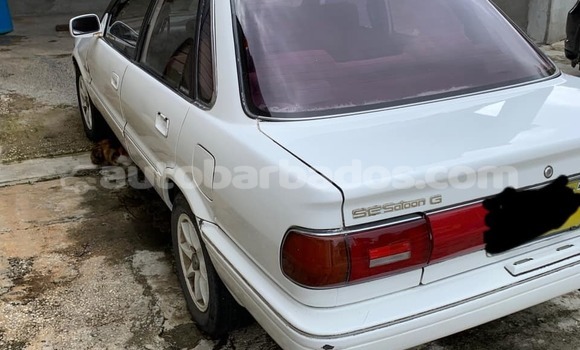 Buy Used Toyota Sprinter White Car in Bridgetown in Barbados Buy Used Toyota Sprinter White Car in Bridgetown in Barbados