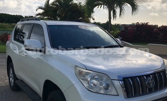 Buy Used Toyota Prado White Car in Bridgetown in Barbados Buy Used Toyota Prado White Car in Bridgetown in Barbados