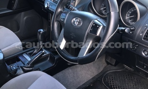 Buy Used Toyota Prado White Car in Bridgetown in Barbados Buy Used Toyota Prado White Car in Bridgetown in Barbados