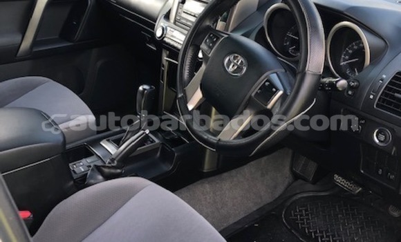 Buy Used Toyota Prado White Car in Bridgetown in Barbados Buy Used Toyota Prado White Car in Bridgetown in Barbados