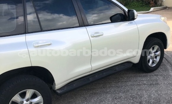 Buy Used Toyota Prado White Car in Bridgetown in Barbados Buy Used Toyota Prado White Car in Bridgetown in Barbados
