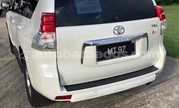 Buy Used Toyota Prado White Car in Bridgetown in Barbados Buy Used Toyota Prado White Car in Bridgetown in Barbados