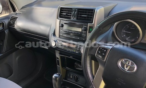 Buy Used Toyota Prado White Car in Bridgetown in Barbados Buy Used Toyota Prado White Car in Bridgetown in Barbados