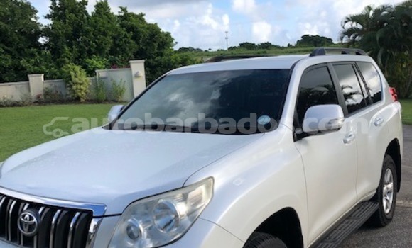 Buy Used Toyota Prado White Car in Bridgetown in Barbados Buy Used Toyota Prado White Car in Bridgetown in Barbados