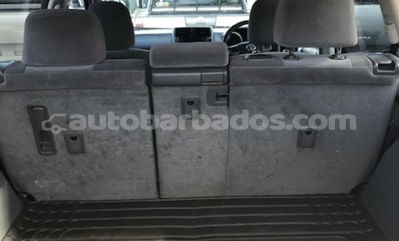 Buy Used Toyota Prado White Car in Bridgetown in Barbados Buy Used Toyota Prado White Car in Bridgetown in Barbados