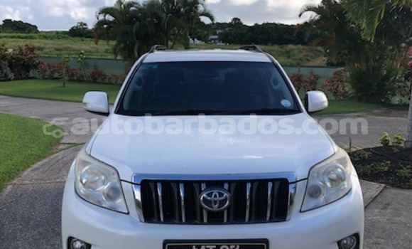 Buy Used Toyota Prado White Car in Bridgetown in Barbados Buy Used Toyota Prado White Car in Bridgetown in Barbados