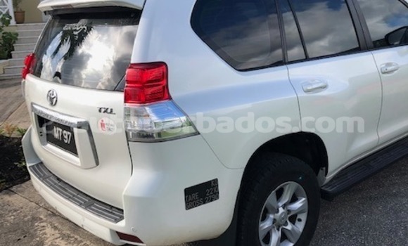 Buy Used Toyota Prado White Car in Bridgetown in Barbados Buy Used Toyota Prado White Car in Bridgetown in Barbados